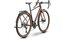 Raymon Territ Pro Street - 28 Zoll - Diamant - 2027