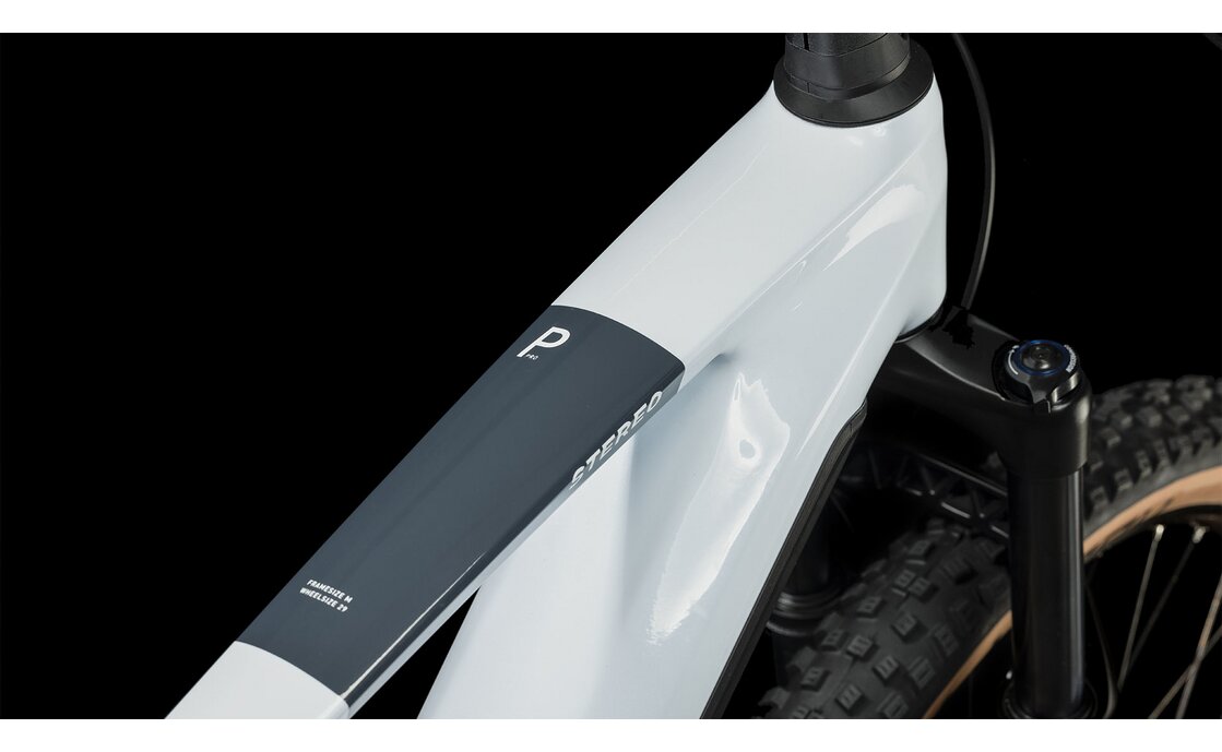 Cube Stereo Hybrid 140 HPC Pro 625 - 625 Wh - 29 Zoll - Fully