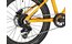 Vilu Disc 20 - 20 Zoll - Diamant - 2024