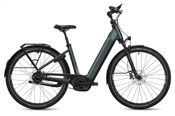 Bosch - E-Bike City - Flyer G2 Gotour 7.43 - 800 Wh - 28 Zoll - Tiefeinsteiger