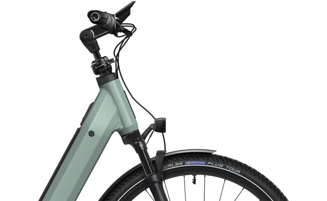 Flyer Gotour 7.43 - 800 Wh - 28 Zoll - Tiefeinsteiger - 2025