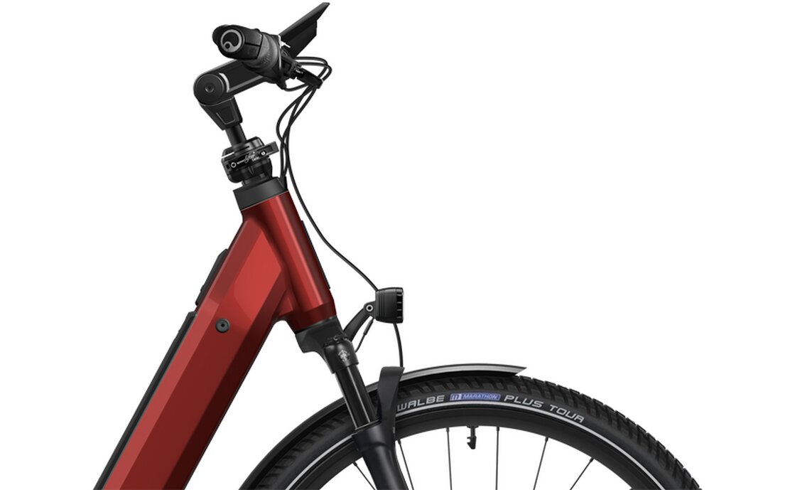 Flyer Gotour 7.43 - 800 Wh - 28 Zoll - Tiefeinsteiger - 2025