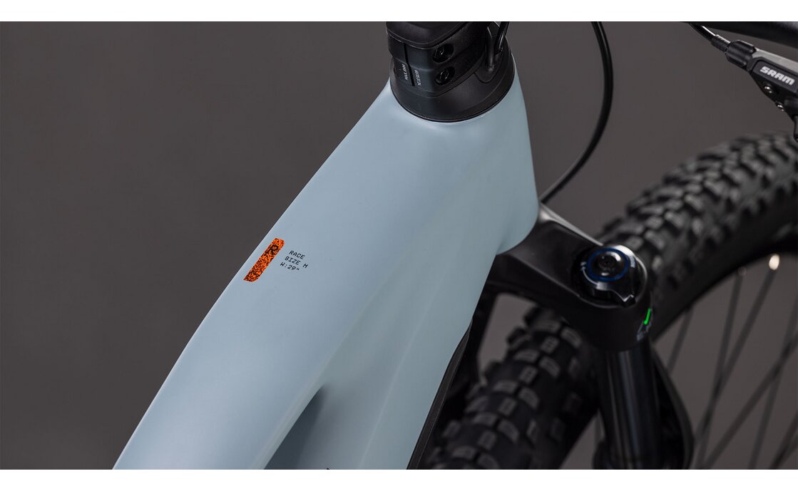 Cube Reaction Hybrid Race 800 - 800 Wh - 29 Zoll - Damen Sport