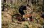 Fidlock Twist Trinkflasche 600 mit Bike Base Flaschenhalter