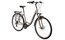 Lakes Arco 100 - 28 Zoll - Tiefeinsteiger - 2024