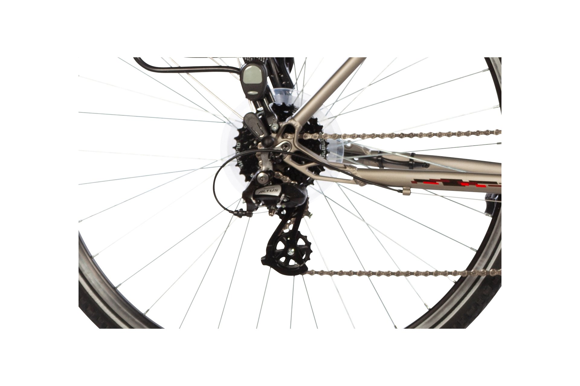 Lakes Arco 100 - 28 Zoll - Tiefeinsteiger - 2024