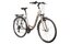 Lakes Arco 100 - 28 Zoll - Tiefeinsteiger - 2024