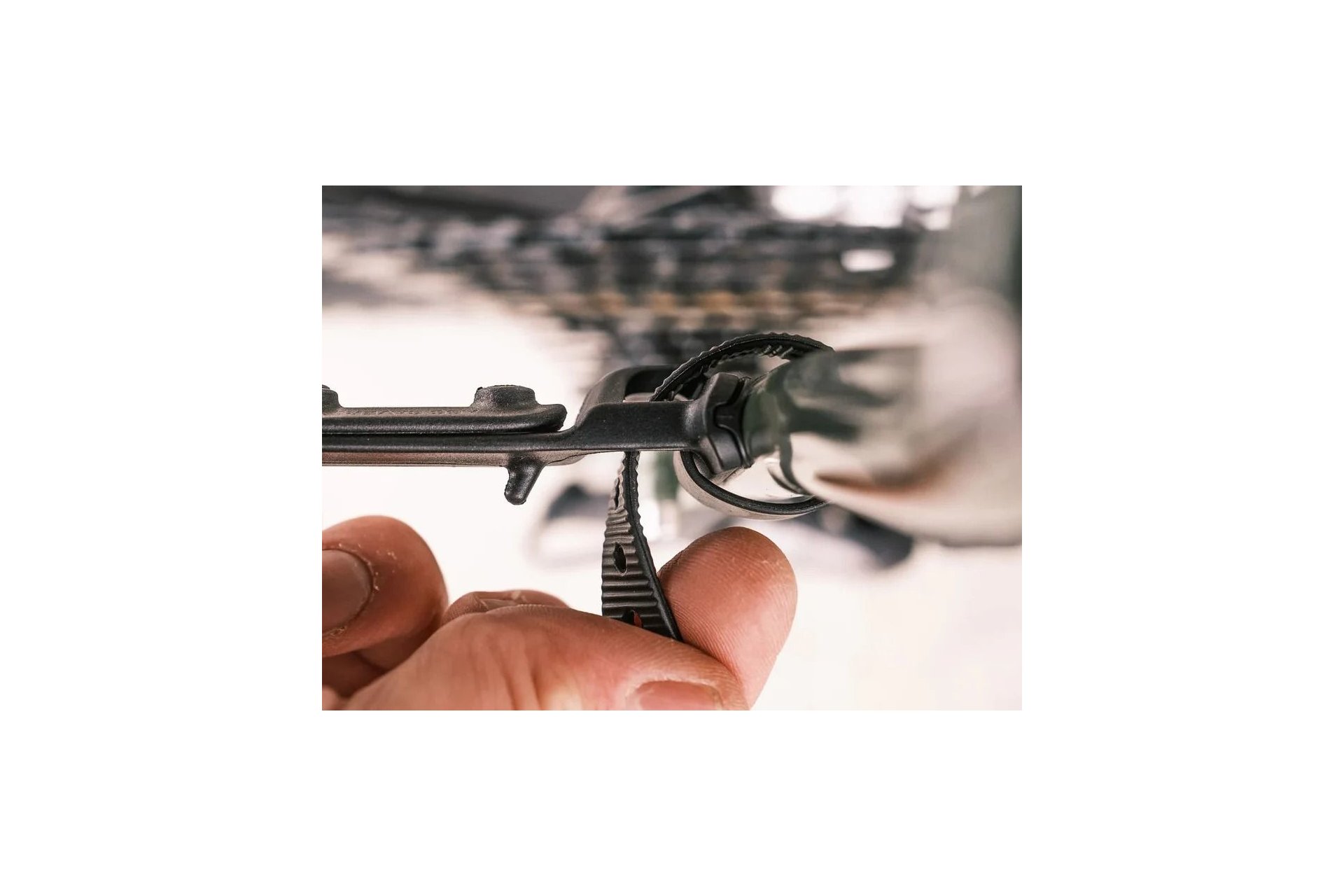 Ass Savers WMS-1 Win Wing MTB Spritzschutz HR Roks