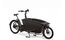 Urban Arrow Family Classic Essential 75 + Paket - 545 Wh - 26 Zoll - Long John - 2026