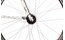 Lakes Arco 80 - 28 Zoll - Tiefeinsteiger - 2024