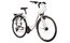 Lakes Arco 80 - 28 Zoll - Tiefeinsteiger - 2024