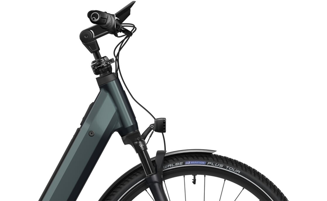 Flyer Gotour 7.43 - 800 Wh - 28 Zoll - Tiefeinsteiger - 2025