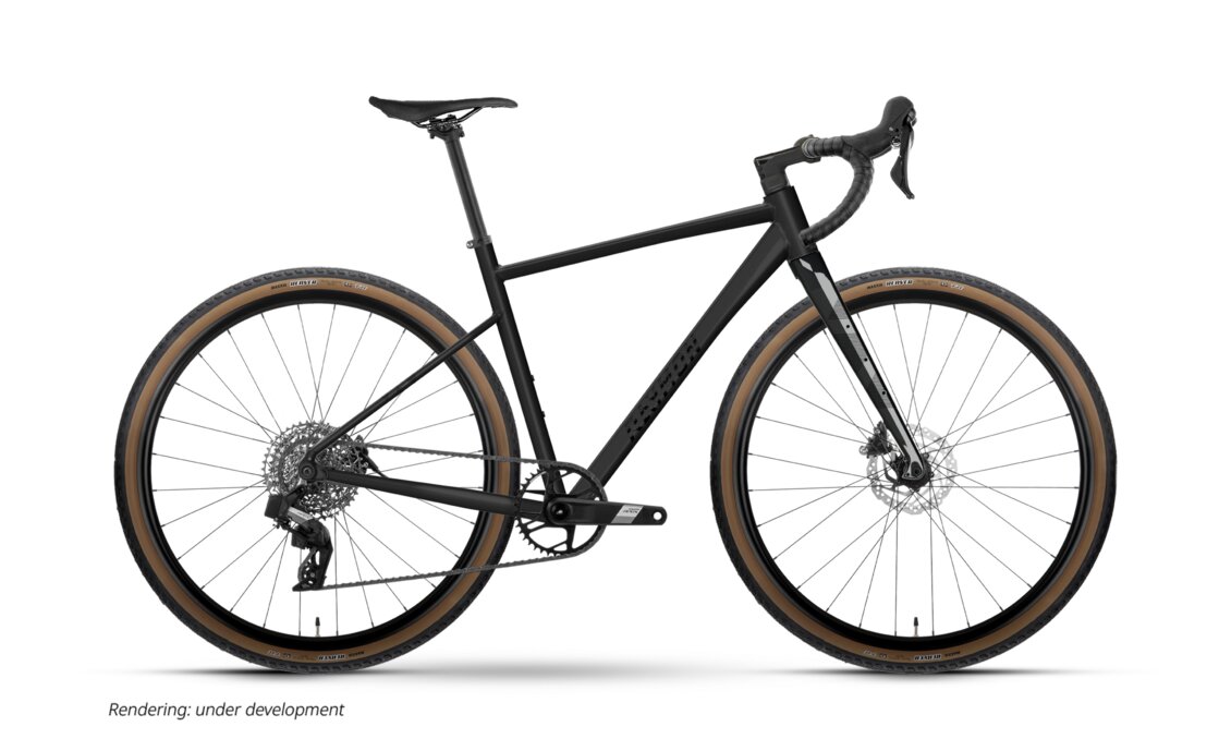 Raymon Territ Ultra - 28 Zoll - Diamant - 2026