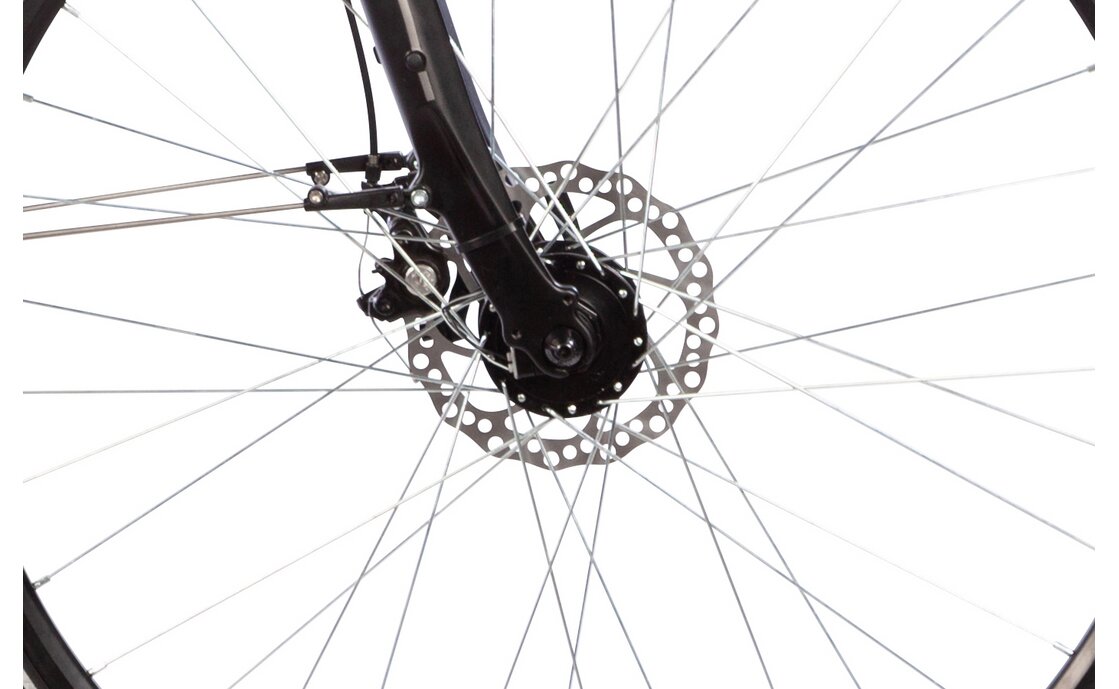 Lakes Free 100 - 28 Zoll - Damen Sport - 2024