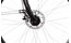Lakes Free 100 - 28 Zoll - Damen Sport - 2024
