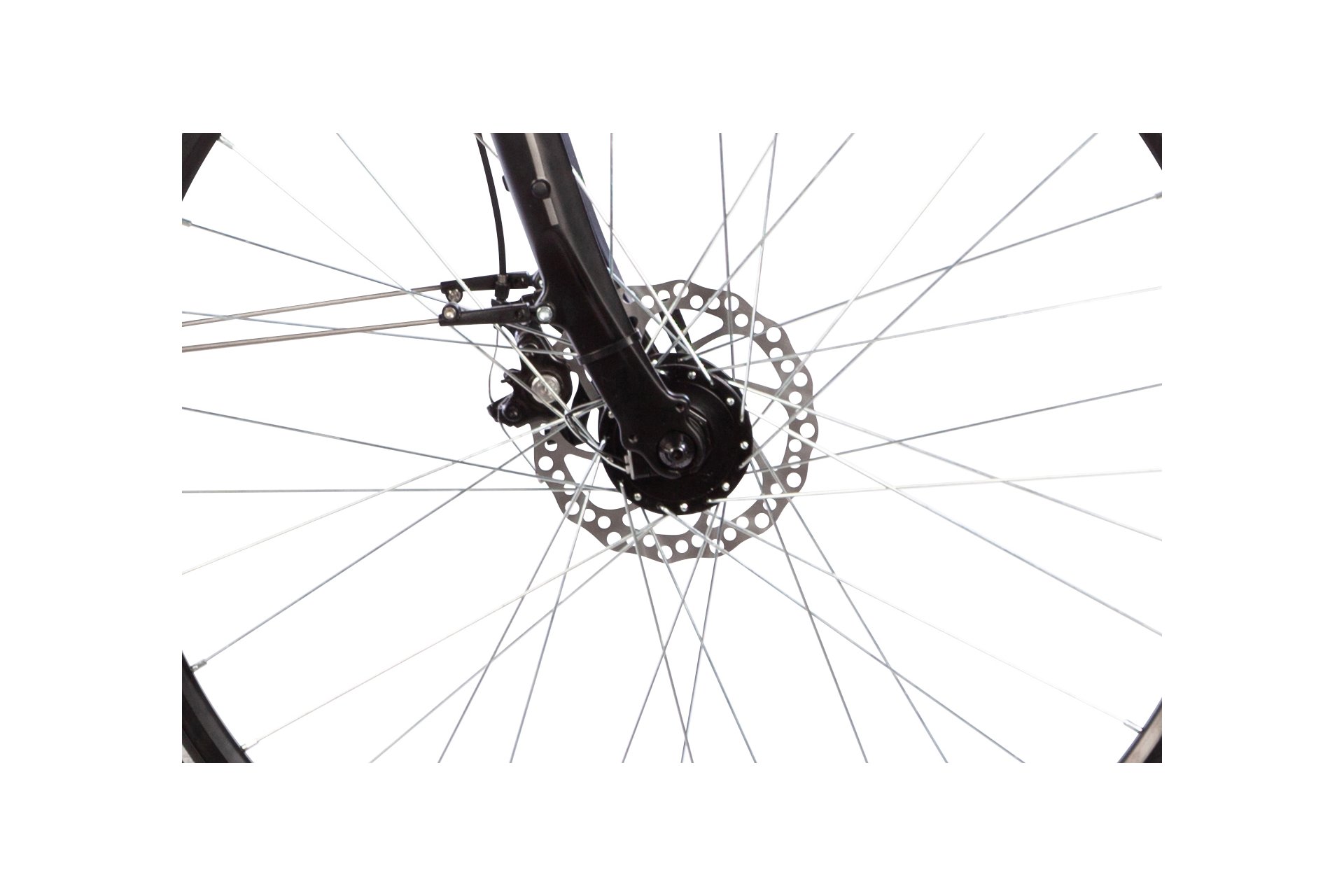 Lakes Free 100 - 28 Zoll - Damen Sport - 2024
