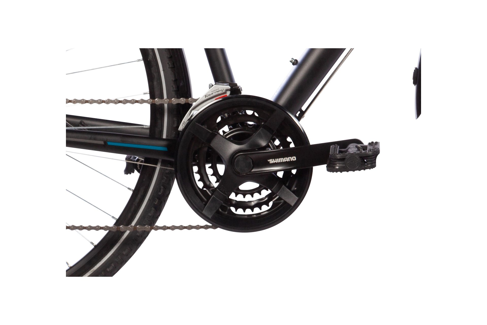 Lakes Free 100 - 28 Zoll - Damen Sport - 2024