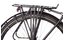 Lakes Free 100 - 28 Zoll - Damen Sport - 2024