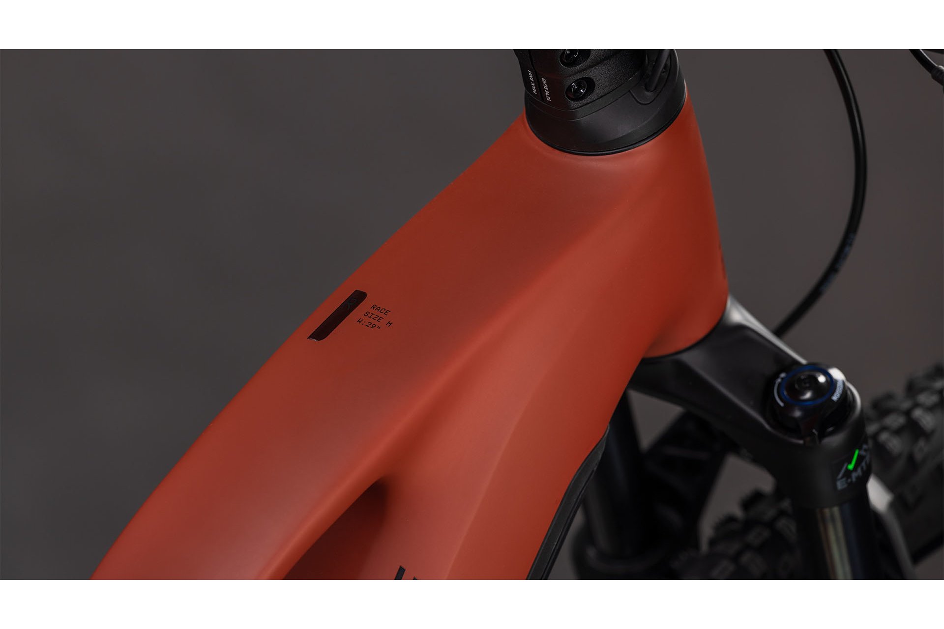 Cube Reaction Hybrid Race 800 - 800 Wh - 29 Zoll - Damen Sport