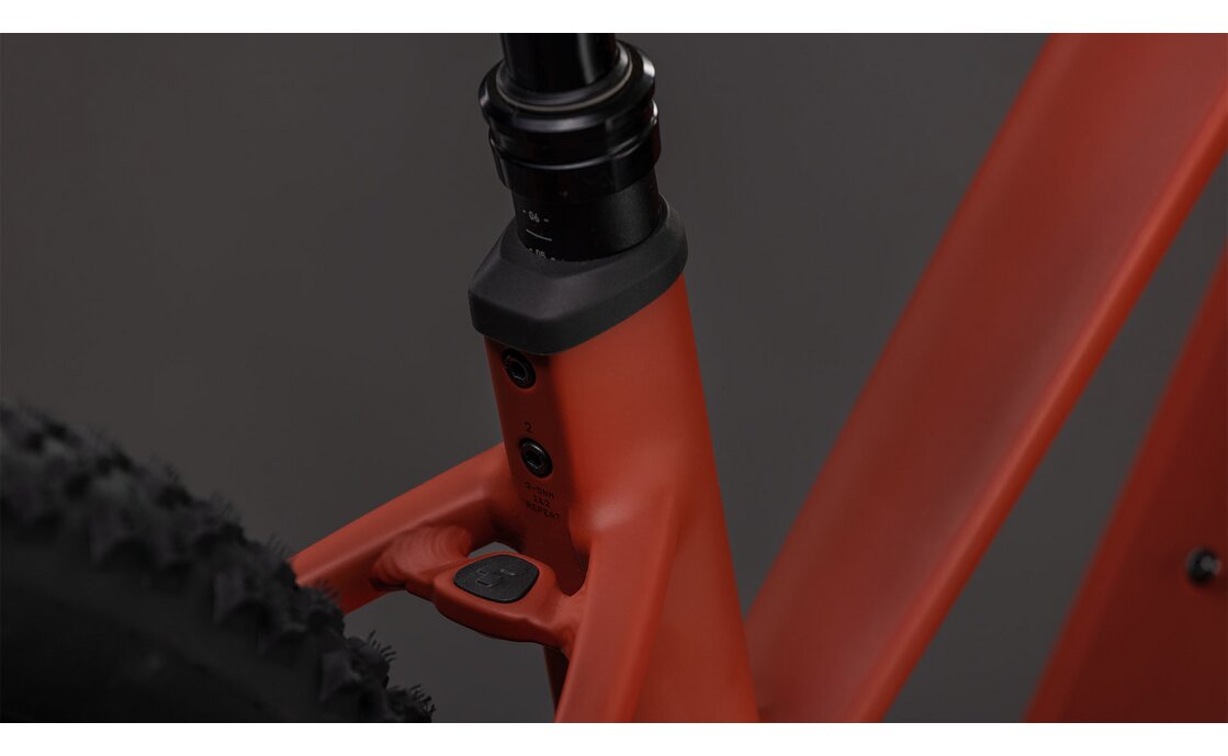 Cube Reaction Hybrid Race 800 - 800 Wh - 29 Zoll - Damen Sport