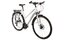 Lakes Free 100 - 28 Zoll - Damen Sport - 2024