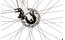 Lakes Free 100 - 28 Zoll - Damen Sport - 2024