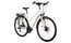 Lakes Free 100 - 28 Zoll - Damen Sport - 2024