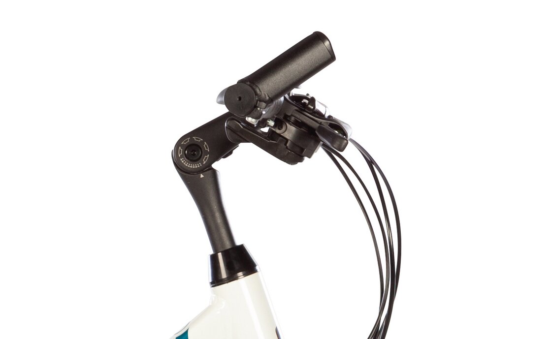 Lakes Free 100 - 28 Zoll - Damen Sport - 2024