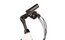 Lakes Free 100 - 28 Zoll - Damen Sport - 2024