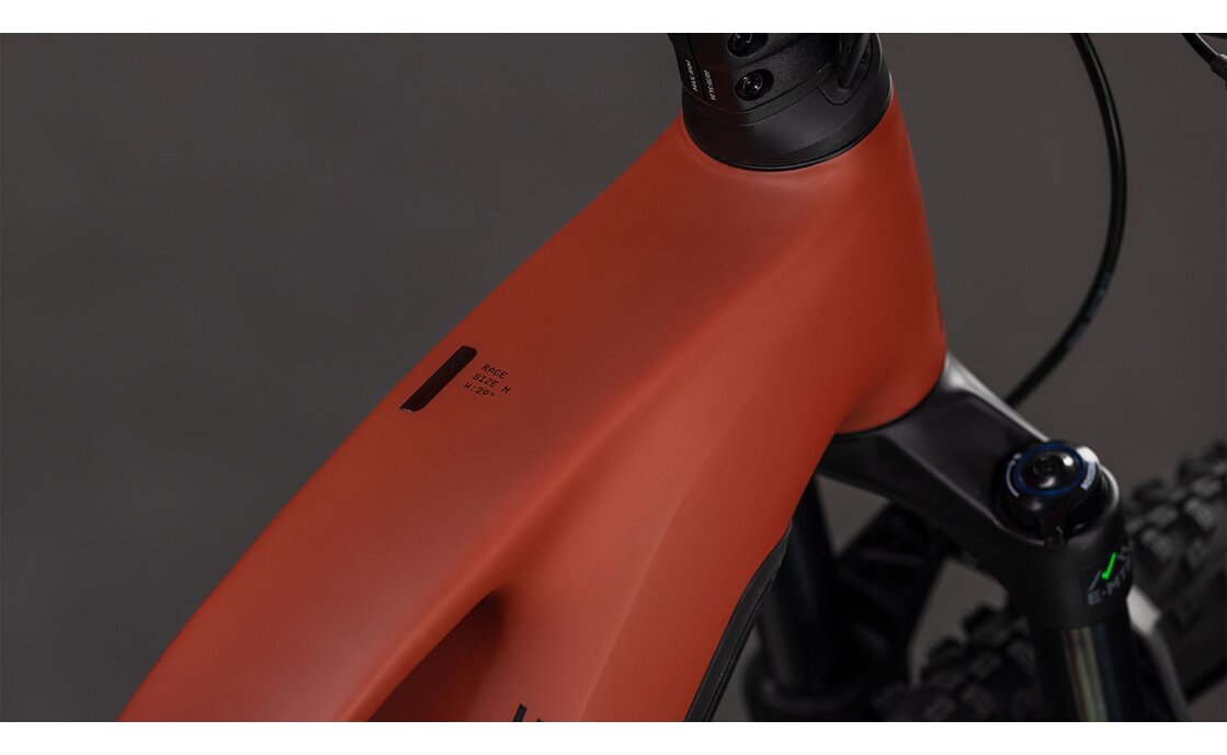 Cube Reaction Hybrid Race 800 - 800 Wh - 29 Zoll - Damen Sport