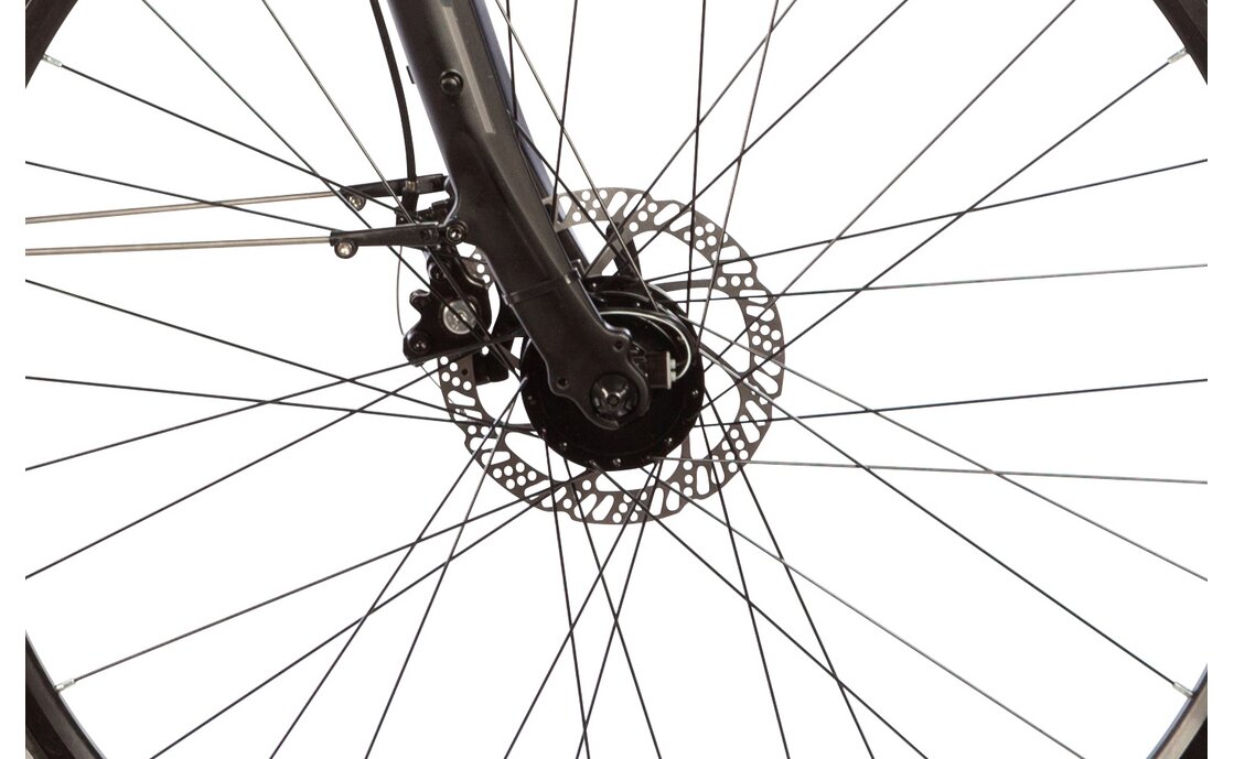 Lakes Free 100 - 28 Zoll - Diamant - 2024