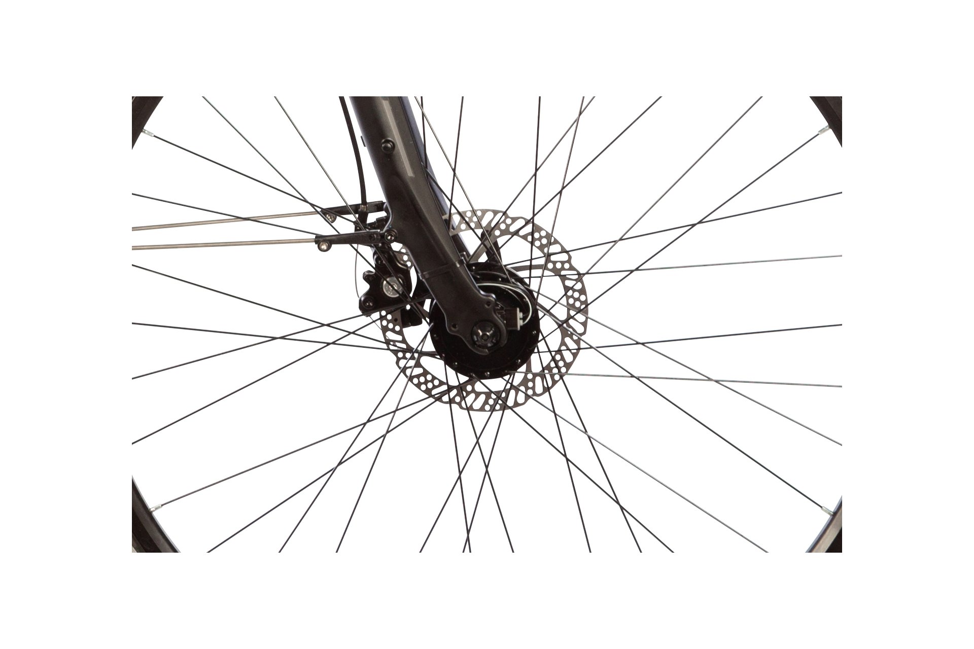 Lakes Free 100 - 28 Zoll - Diamant - 2024