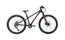 Frog MTB 62 - 24 Zoll - Diamant - 2024