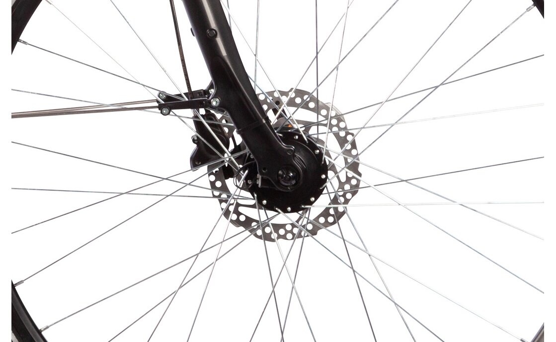 Lakes Free 120 - 28 Zoll - Damen Sport - 2024