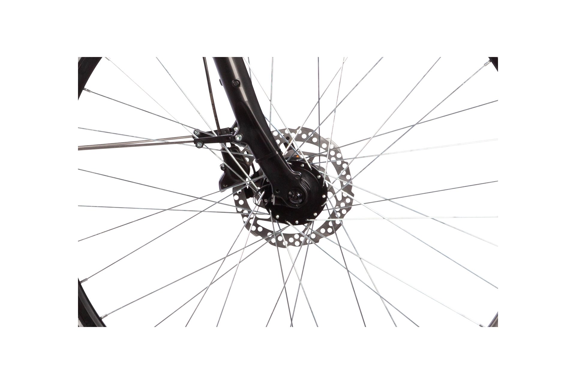 Lakes Free 120 - 28 Zoll - Damen Sport - 2024