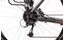 Lakes Free 120 - 28 Zoll - Damen Sport - 2024