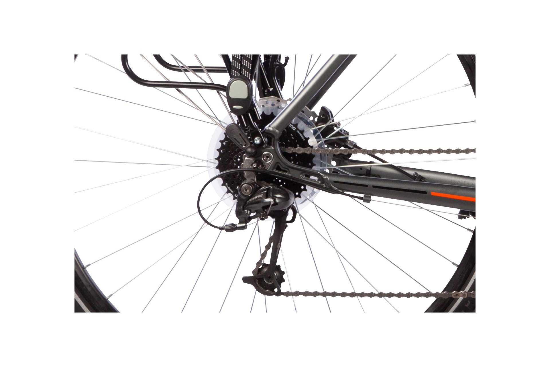 Lakes Free 120 - 28 Zoll - Damen Sport - 2024
