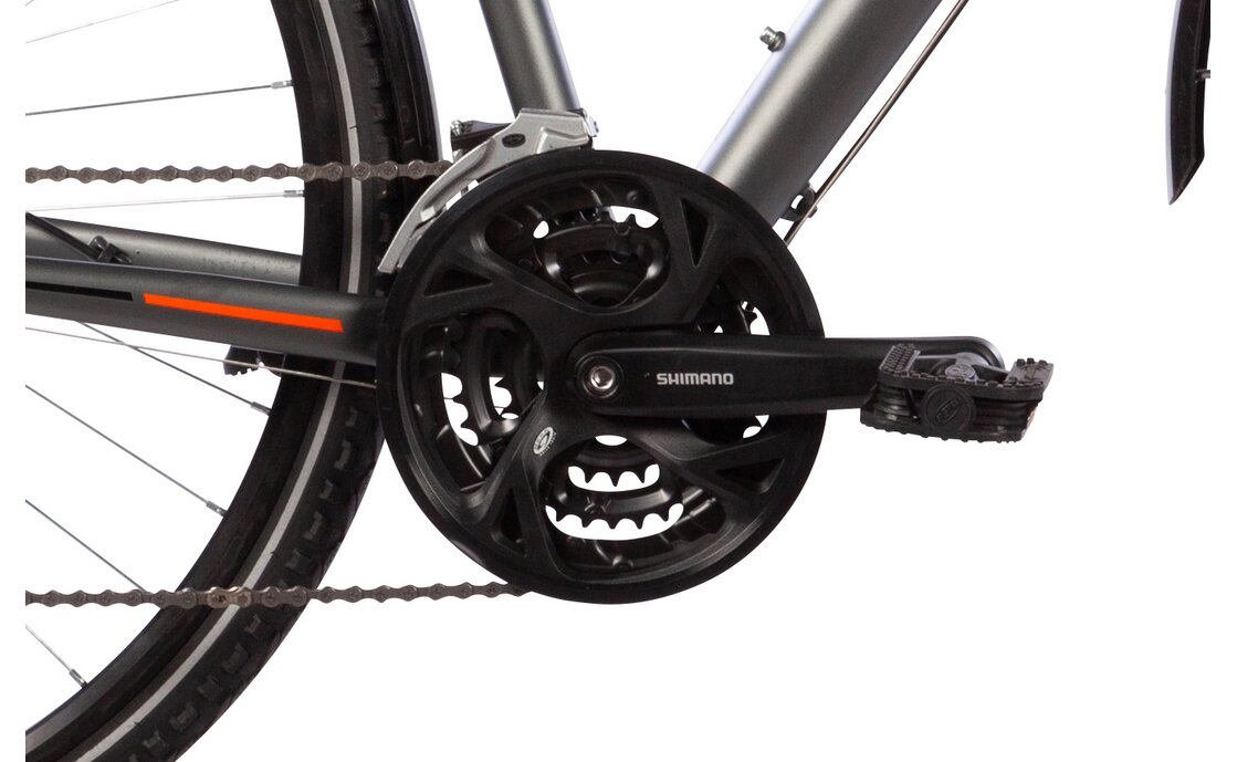 Lakes Free 120 - 28 Zoll - Damen Sport - 2024
