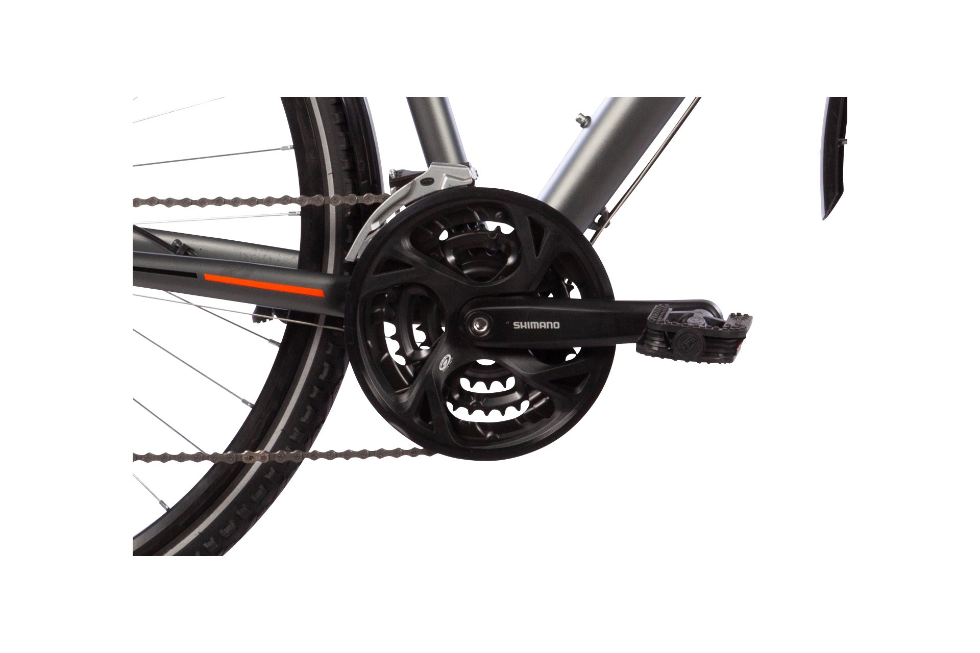Lakes Free 120 - 28 Zoll - Damen Sport - 2024