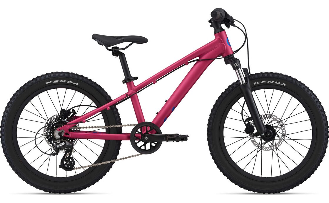 Liv STP 20 FS - 20 Zoll - Diamant