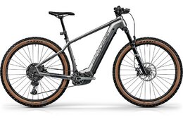 Centurion Backfire E R2700i - 750 Wh - 29 Zoll - Diamant