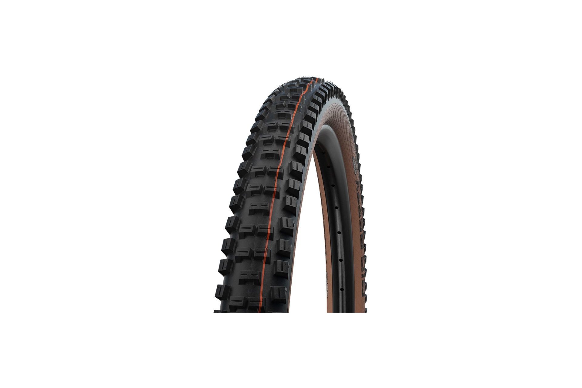 Schwalbe Big Betty 29x2,40 EVO ADDIX Soft SnakeSkin Super Trail TLE