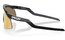 Oakley Hydra Black Ink - Prizm 24K