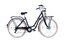 Anno 1900 Retro Cargo Alloy - 28 Zoll - Doppelrohr - 2026