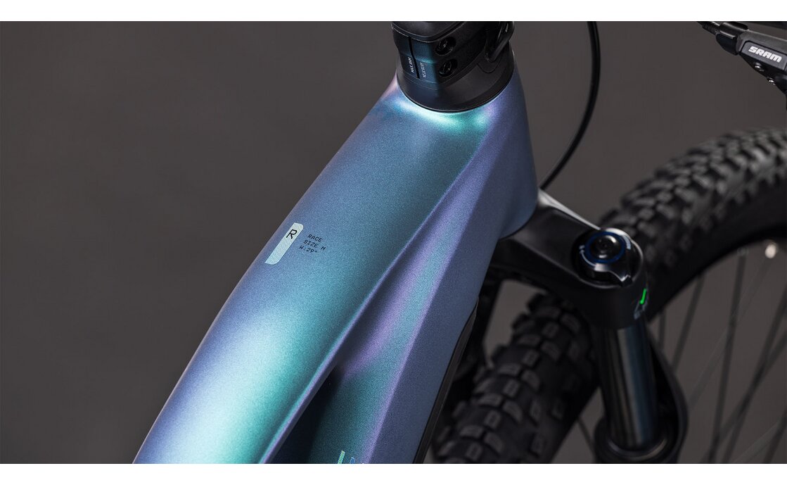 Cube Reaction Hybrid Race 800 - 800 Wh - 29 Zoll - Damen Sport