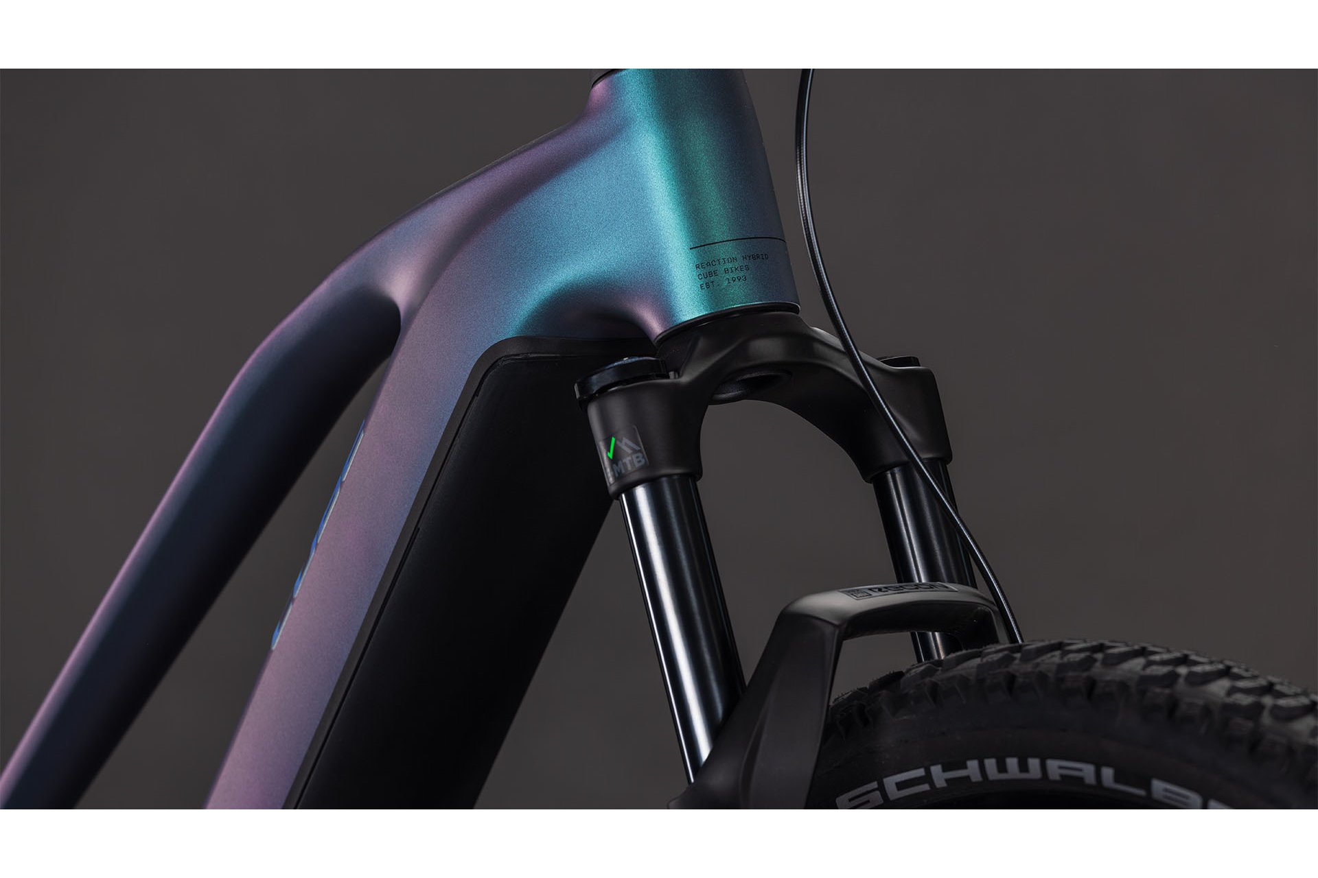 Cube Reaction Hybrid Race 800 - 800 Wh - 29 Zoll - Damen Sport