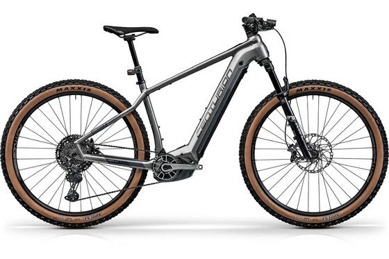 Mit Federung - E-Bike Trekking - Centurion Backfire E R2700i - 750 Wh - 29 Zoll - Diamant