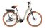 Riese und M&uuml;ller Swing5 vario - 500 Wh - 28 Zoll - Tiefeinsteiger - 2027