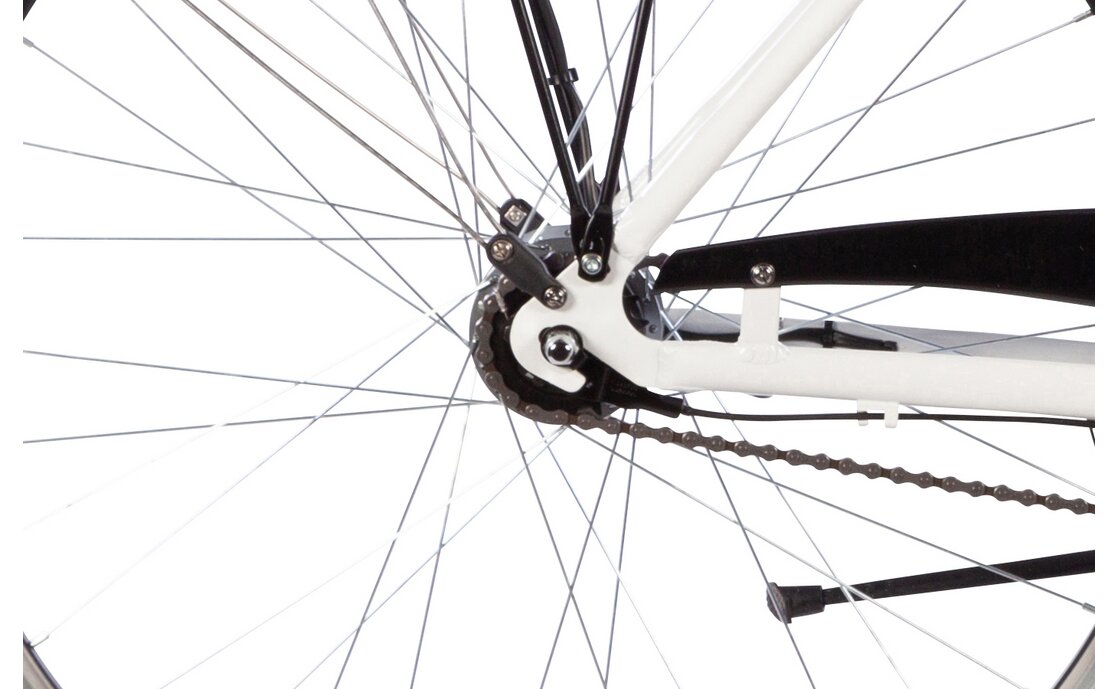 Passat Porto - 28 Zoll - Tiefeinsteiger - Aktion