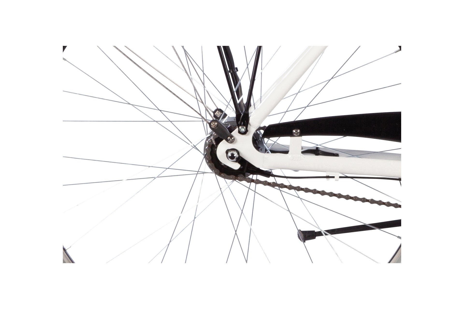 Passat Porto - 28 Zoll - Tiefeinsteiger - Aktion